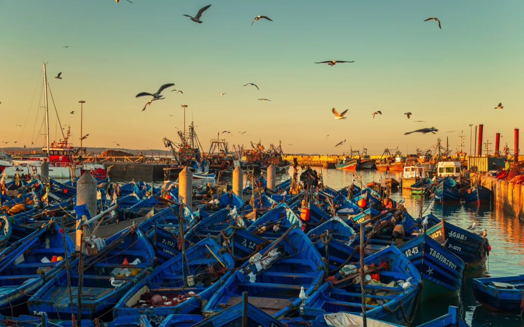 Essaouira Day Trip From Marrakech