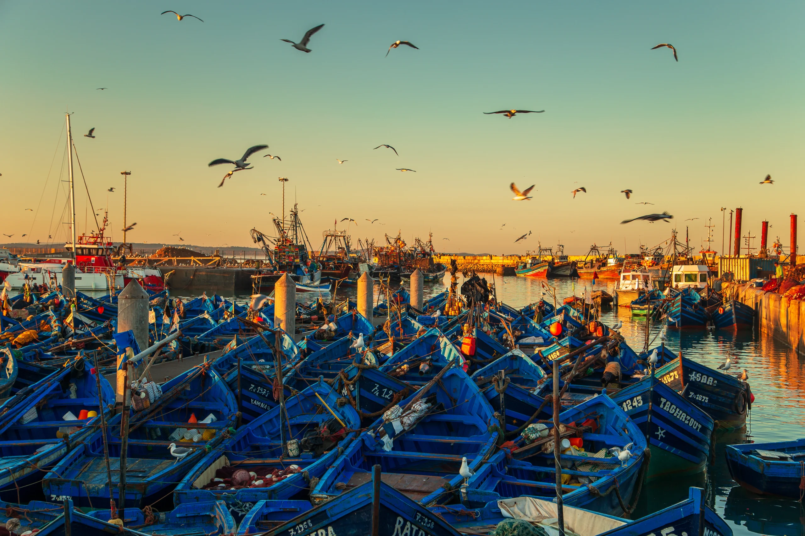 Essaouira Port Day Trip from Marrakech