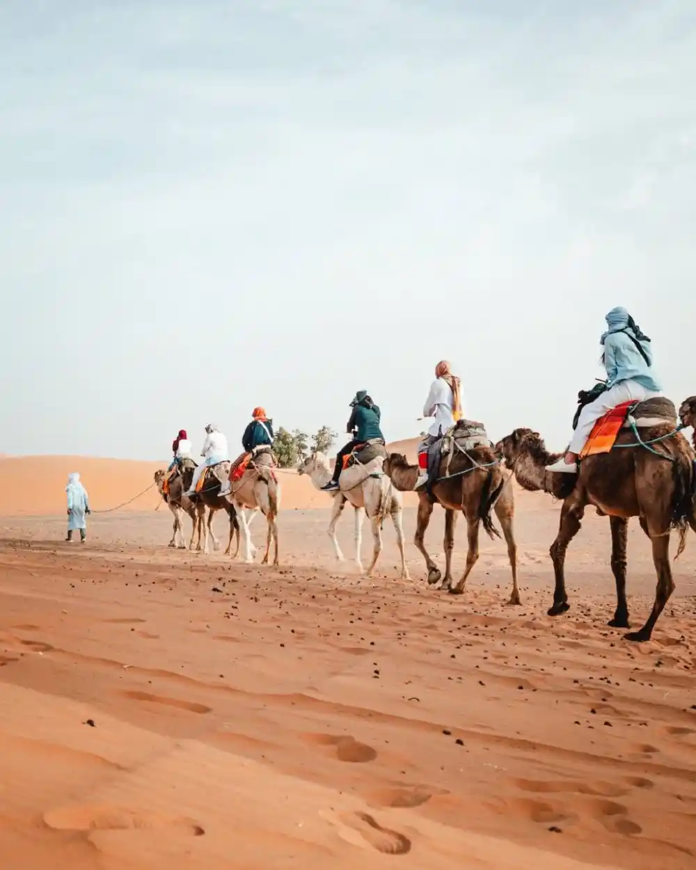Camel ride in Merzouga during a 10-day Morocco tour from Tangier