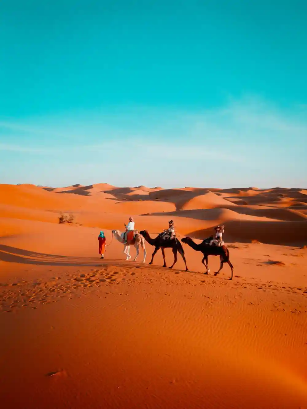Sahara Desert experience during a 12-day Morocco itinerary from Casablanca