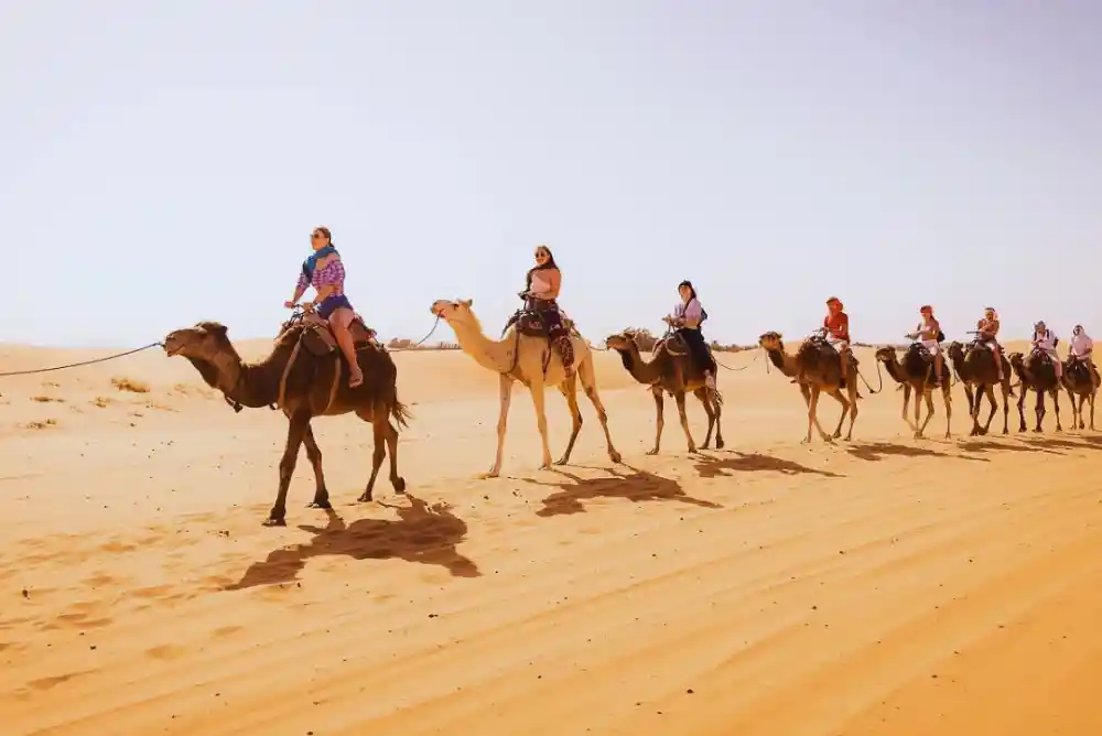 Camel ride in Merzouga during a 2-day Fes to Marrakech desert tour