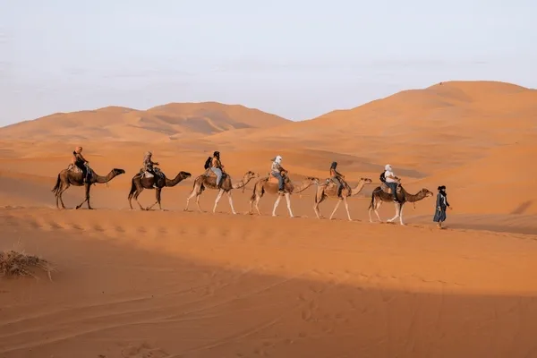 Camel caravan crossing the Erg Chebbi dunes on a 2-day Fes to Merzouga desert tour
