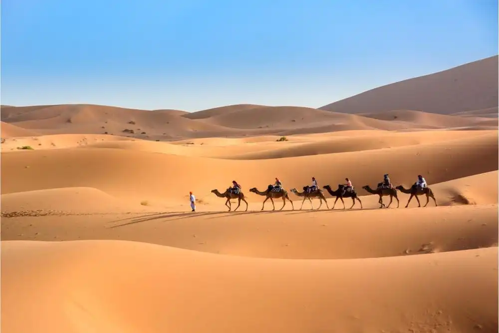 Camel ride in Merzouga during a 2-day Marrakech to Fes desert tour