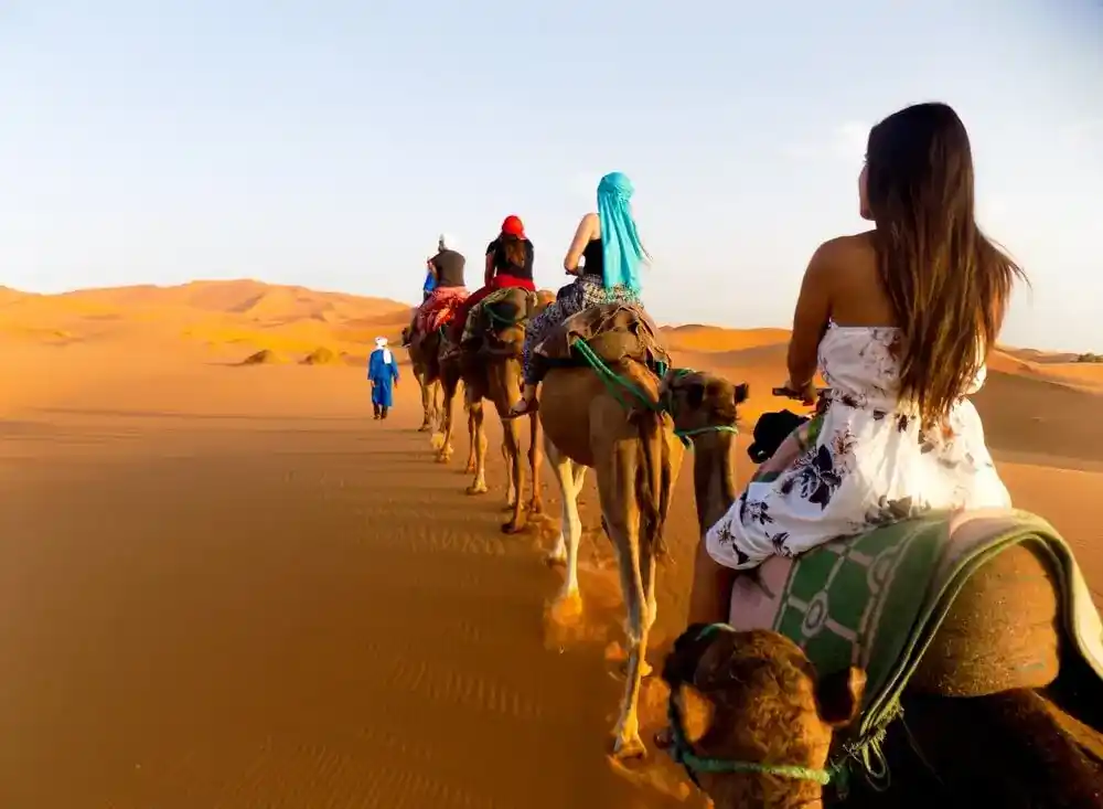 Camel caravan in the Erg Chebbi dunes during a 3-day Agadir to Fes desert tour