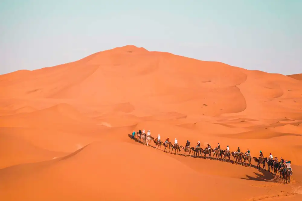 Camel caravan crossing the Erg Chebbi dunes on a 3-day Casablanca to Merzouga desert tour