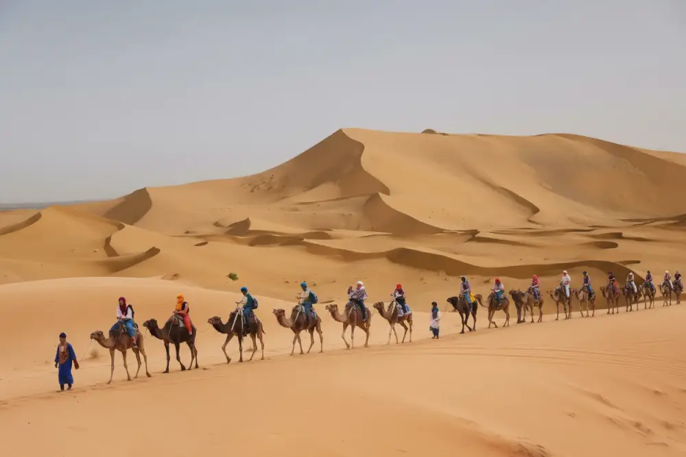 Camel caravan crossing the Erg Chebbi dunes on a 3-day Agadir to Merzouga desert tour