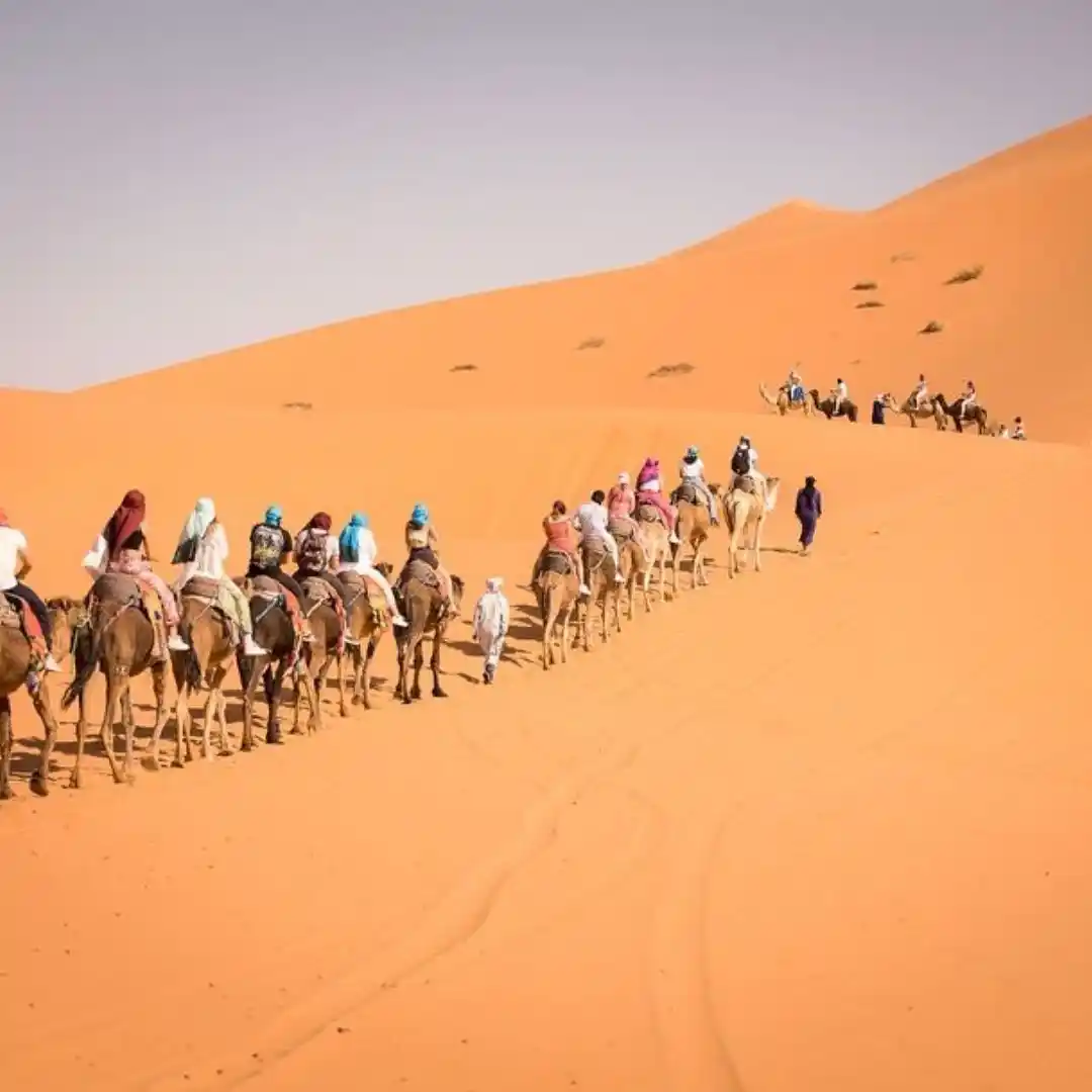 Camel caravan crossing the Erg Chebbi dunes on a 3-day Tangier to Merzouga desert tour