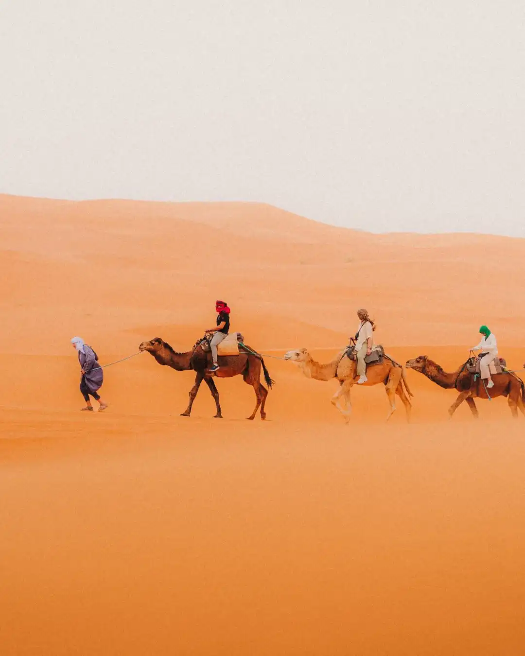 Camel riders crossing the Sahara dunes on a 3-day Marrakech to Merzouga desert tour