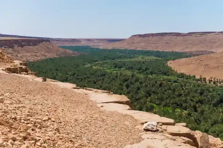 Ziz Valley scenery during a 4-day Agadir to Fes desert tour via Merzouga