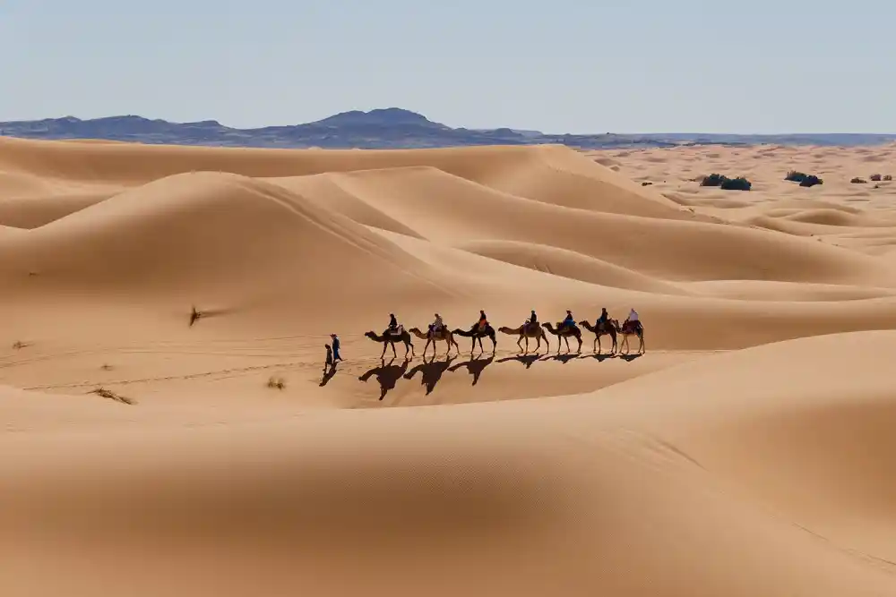 Camel caravan in Merzouga on a 4-day Marrakech to Chefchaouen desert tour