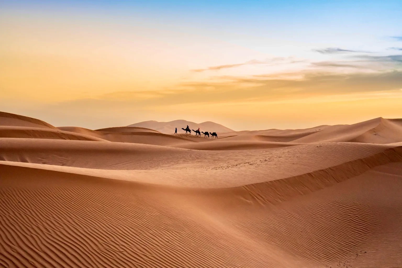 Camel caravan crossing the Erg Chebbi dunes on a Morocco Sahara Desert tour