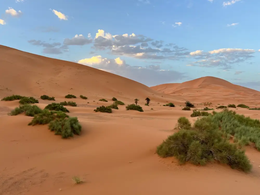 Tailor-Made Morocco Tours – Custom Private Trips